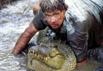 Perth news, crocodilehunter Steve Irwin killed bij a stingray